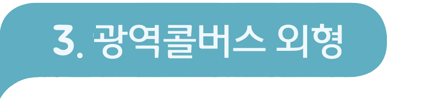 III. 광역콜버스 외형